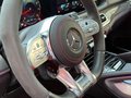 Daumennagel 25 - Mercedes-Benz GLE 53 AMG 4Matic+/DISTRO/SPUR/PANO/BURMESTER/LUFT+