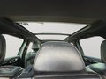 Daumennagel 20 - Porsche Cayenne S E-Hybrid Platnum Edition NAVI/LEDER/PANO/BI-XENON/RFK/LUFT
