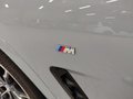 Daumennagel 24 - BMW X4 xDrive 30 d M Sport/ACC/AHK/EDC+VDC/RFK/