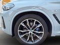 Daumennagel 12 - BMW X4 xDrive 30 d M Sport/ACC/AHK/EDC+VDC/RFK/