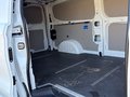 Daumennagel 25 - Volkswagen T7 Transporter Kasten 2.0 TDI 110 kW LR KLIMA/RFK/LED/