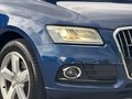 Daumennagel 26 - Audi Q5 2.0 TFSI hybrid quattro BI-XENON/LEDER/AHK/PANO/LANE/SHZ/PDC
