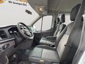 Daumennagel 22 - Ford Transit Pritsche 310 L2 Doppelkabine /Klima /AHK/7-Sitzer/DAB