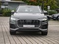 Daumennagel 3 - Audi Q8 55 TFSI e quattro Luftfed/AHK/ACC/RFK/NAVI/LEDER/LED/