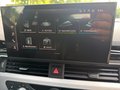 Daumennagel 36 - Audi S4 Avant 3.0 TDI quattro S-LINE/LEDER/STHZ/VIRTUAL COCKPIT/SOUNDSYSTEM