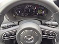 Daumennagel 21 - Mazda CX-60 Homura Hybrid AWD LED/LEDER/HUD/ACC/VIRTUAL COCKPIT