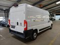 Daumennagel 4 - Fiat Ducato Grossr.-Kasten 35 140 L4H2 RS: 4035 mm  TEMPOMAT/RFK/