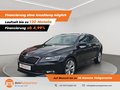 Daumennagel 1 - Skoda Superb Combi Style 4x4 Navi RFK Xenon Pano