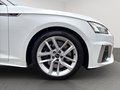 Daumennagel 26 - Audi S5 Sportback 3.0 TDI quattro NAVI/MATRIX LED/LEDER/HUD/RFK/VIRTUAL COCKPIT