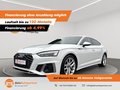 Daumennagel 1 - Audi S5 Sportback 3.0 TDI quattro NAVI/MATRIX LED/LEDER/HUD/RFK/VIRTUAL COCKPIT