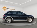 Daumennagel 9 - Audi Q5 40 TDI quattro S Line LED/LEDER/HUD/AHK/PANO/AREA VIEW