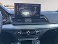 Daumennagel 19 - Audi Q5 40 TDI quattro S Line LED/LEDER/HUD/AHK/PANO/AREA VIEW