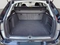 Daumennagel 7 - Audi A4 Avant 2,0TDI S Line/S-Tronic /ACC/STHZ/Xenon