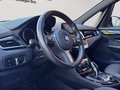 Daumennagel 11 - BMW 218i GT M Sport Navi Leder AHK PDC Busin.Pak.