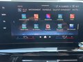 Daumennagel 14 - BMW X2 20 d xDrive M Sport AHK/DAB+/HUD/RFK