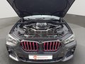 Daumennagel 14 - BMW X6 M50 i Special Edition LASER/HUD/STHZ/PANO/MASSAGE/SURROUND VIEW