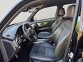 Daumennagel 10 - Mercedes-Benz GLK 250 CDI BlueTec 4Matic LEDER/NAVI/STHZ/HARMAN KARDON