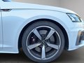 Daumennagel 11 - Audi S5 Sportback 3.0 TDI quattro NAVI/LED/LEDER/RFK/LANE