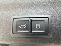 Daumennagel 29 - Audi RS 6 Avant 4.0 TFSI quattro/STHZ/AHK/LASER/B&O/