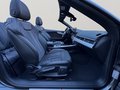 Daumennagel 10 - Audi A5 Cabriolet 40 TFSI quattro S line LED/AHK/RFK