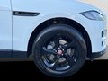 Daumennagel 13 - Jaguar F-Pace Prestige P250 AWD NAVI/LED/LEDER/RFK/PANO