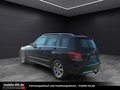 Daumennagel 6 - Mercedes-Benz GLK 250*ALLRAD*EURO6*AHK*PDC*SHZ*