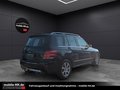 Daumennagel 8 - Mercedes-Benz GLK 250*ALLRAD*EURO6*AHK*PDC*SHZ*