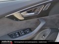 Daumennagel 11 - Audi SQ7 4.0*MATRIX*PANO*LUFT*7SITZER*S-LINE*