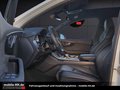 Daumennagel 10 - Audi SQ7 4.0*MATRIX*PANO*LUFT*7SITZER*S-LINE*