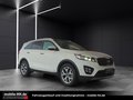 Daumennagel 3 - Kia Sorento Platinum Edition 4WD*PANO*SDHZG*VOLL*