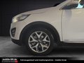 Daumennagel 28 - Kia Sorento Platinum Edition 4WD*PANO*SDHZG*VOLL*