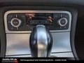 Daumennagel 13 - Volkswagen Touareg*PANORAMA*360°KAMERA*AHK*LUFTFE*MEMORY*R-LINE*