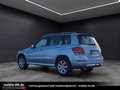 Daumennagel 5 - Mercedes-Benz GLK 220 CDI BlueEfficiency 4Matic 1. Hand - 43.000KM