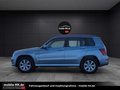 Daumennagel 9 - Mercedes-Benz GLK 220 CDI BlueEfficiency 4Matic 1. Hand - 43.000KM