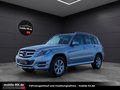 Daumennagel 1 - Mercedes-Benz GLK 220 CDI BlueEfficiency 4Matic 1. Hand - 43.000KM