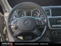 Daumennagel 11 - Mercedes-Benz ML 350 CDI BlueTec AMG-PANO-1.HAND-360Kamera-AHK-SHZ