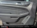 Daumennagel 17 - Mercedes-Benz ML 350 CDI BlueTec AMG-PANO-1.HAND-360Kamera-AHK-SHZ