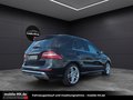 Daumennagel 4 - Mercedes-Benz ML 350 CDI BlueTec AMG-PANO-1.HAND-360Kamera-AHK-SHZ