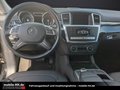 Daumennagel 10 - Mercedes-Benz ML 350 CDI BlueTec AMG-PANO-1.HAND-360Kamera-AHK-SHZ