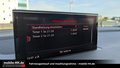 Daumennagel 15 - Audi Q7 3.0 TDI S-Line RS HUD PANO ACC MATRIX 7 SITZER S-LINE