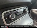 Daumennagel 11 - Volkswagen Touareg*PANO*KAMERA*MEMORY*AHK*ACC*R-LINE*