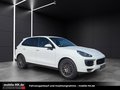 Daumennagel 3 - Porsche Cayenne Diesel Platinum Edition*PANO*KAMERA*AHK*