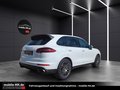 Daumennagel 6 - Porsche Cayenne Diesel Platinum Edition*PANO*KAMERA*AHK*
