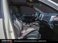 Daumennagel 17 - Porsche Cayenne Diesel Platinum Edition*PANO*KAMERA*AHK*