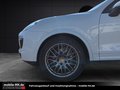 Daumennagel 25 - Porsche Cayenne Diesel Platinum Edition*PANO*KAMERA*AHK*