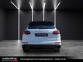 Daumennagel 5 - Porsche Cayenne Diesel Platinum Edition*PANO*KAMERA*AHK*