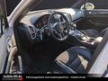 Daumennagel 9 - Porsche Cayenne Diesel Platinum Edition*PANO*KAMERA*AHK*