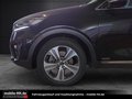 Daumennagel 29 - Kia Sorento Platinum Edition 4WD*7-SITZER*360°KAMERA*PANO