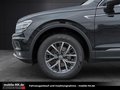 Daumennagel 30 - Volkswagen Tiguan Allspace*KAMERA*LED*PANO*ACC*1 HAND