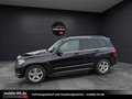Daumennagel 5 - Mercedes-Benz GLK 250*EURO6*SPORTPAKET*BI-XENON*ALLRAD*TWA*